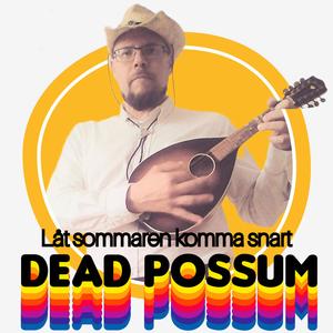 Solsken över midsommarstången