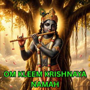 Om Kleem Krishnaya Namah