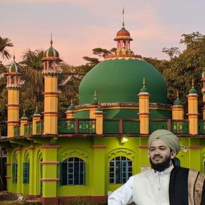 হাফেজ নগরে ।