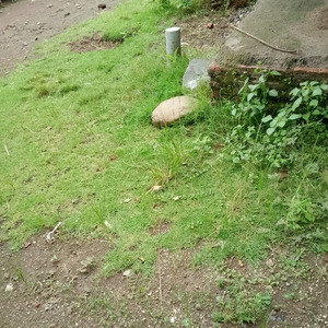 Solatullah salamullah (Remastered 2024)