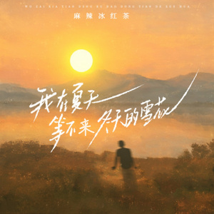 我在夏天等不来冬天的雪花