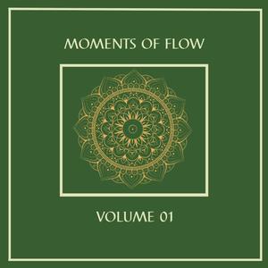 Moments of Flow Vol. 1 Mixed