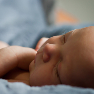 자장가 (바람기억)