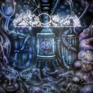Envisaging Psychosomatic Operations