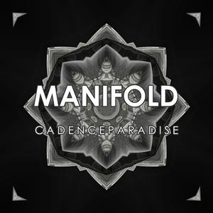 Manifold