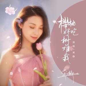 樱桃好吃树难栽