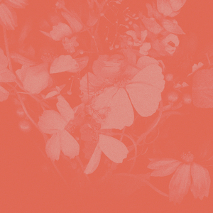 Waiting Around (Acoustic)