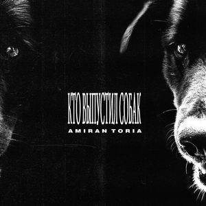 Кто выпустил собак