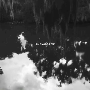 Sugarcane