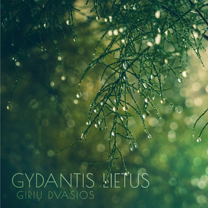 Gydantis lietus 2