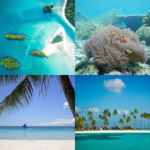 Christmas at the Beach - O Christmas Tree