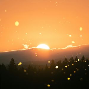 你是温柔暮色笼罩我心（纯音乐）