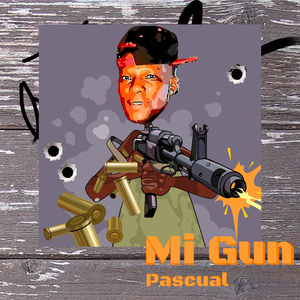 Mi Gun