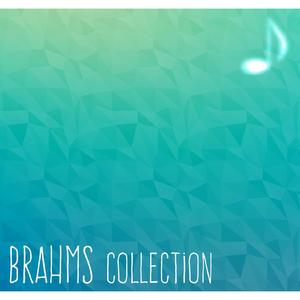 Piano Quintet Op. 34b in F minor: 1st Movement