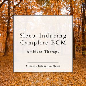 入眠サポート～眠れる焚き火BGM～