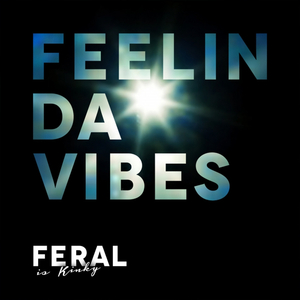 Feelin Da Vibes (Desam Remix)