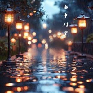 雨中对望