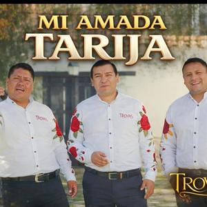 MI AMADA TARIJA