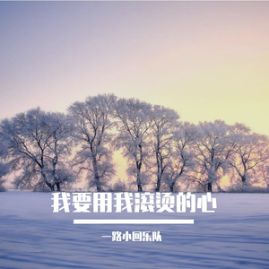我要用我滚烫的心