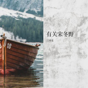 我不是你的宋冬野