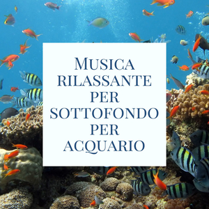 Contemplazione