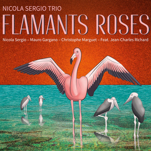 Flamants roses