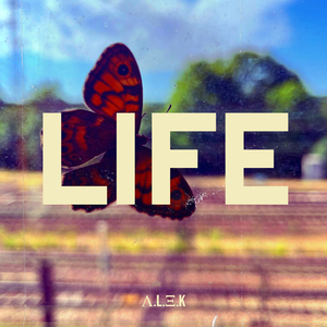 Life