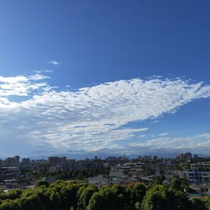 佛与波旬