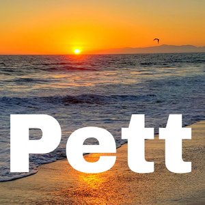 Pett