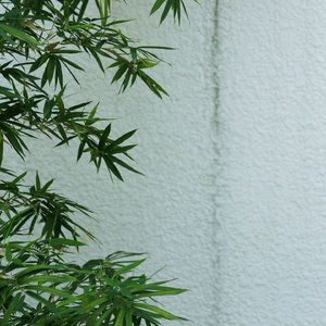 松花江上 (婉转悠长纯音乐)