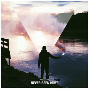 Never Been Hurt (******** Remix)