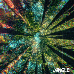 Jungle