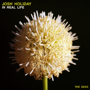 In Real Life (Extended Mix)