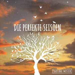 Die Perfekte Seisoen