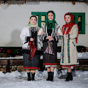 Bună Seara, Gospodari!