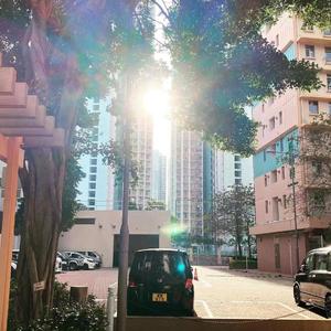 海边 沙滩 烧烤 女孩 爱