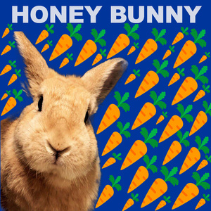 Doctor (Honey Bunny Remix)
