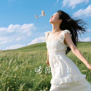 晚风告白