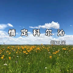 情定科尔沁 (DJ先森版)