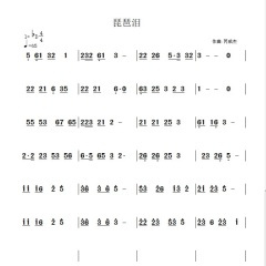 你美的不可方物 (琵琶)