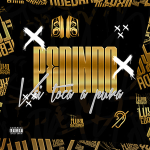 Pedindo, Vai toca a pura