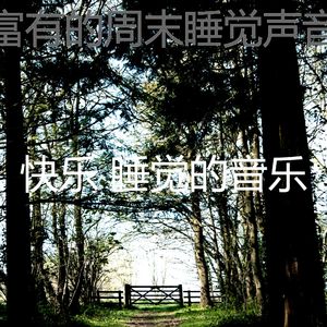 抚慰的睡眠回忆