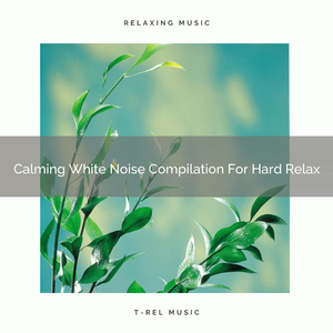 The Colorful Noise And Power Chords Of 400Hz