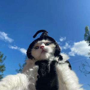 漫步的卡夫卡-青语（王Syl. remix）