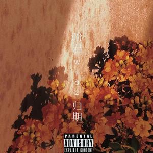 盼君归期（prod.by lausi)