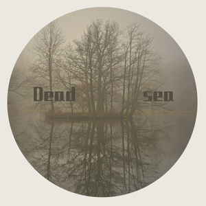 Dead sea