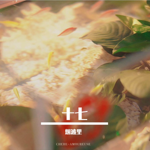 十七