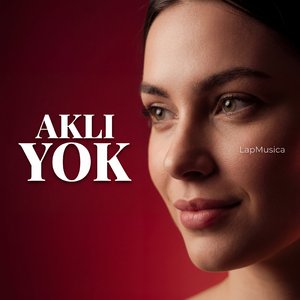 Aklı Yok