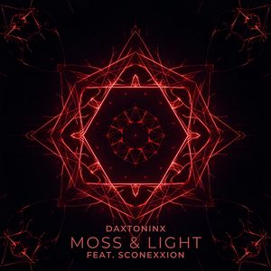 Moss & Light