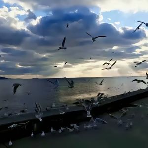 《未竟的远征》